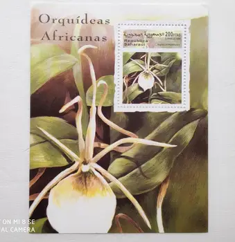 Orquideas africanas africanas Pašto Pašto Ženklų Kolekcija